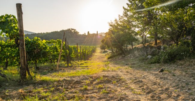 Route bourgogne ferrari