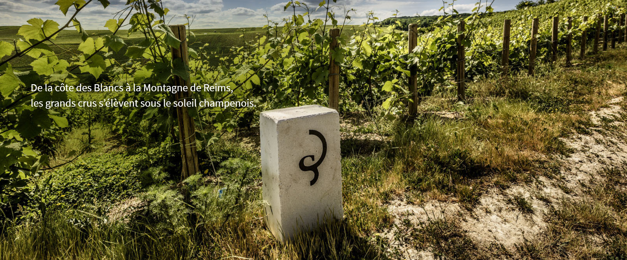 Élégance et adrénaline : Toys Club x Billecart Salmon