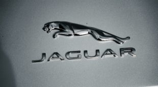 Jaguar logo